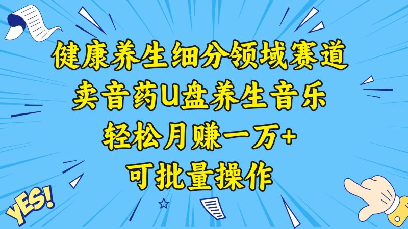 健康养生细分领域赛道，卖音药U盘养生音乐，轻松月赚一万+，可批量操作-创途网