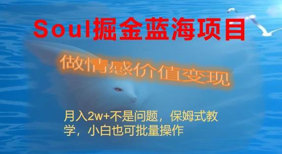 Soul掘金蓝海项目细分赛道，做情感价值变现，月入2w+不是问题-创途网