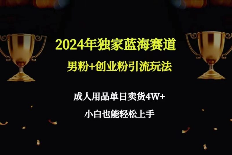 2024年独家蓝海赛道男粉+创业粉引流玩法，成人用品单日卖货4W+保姆教程-创途网