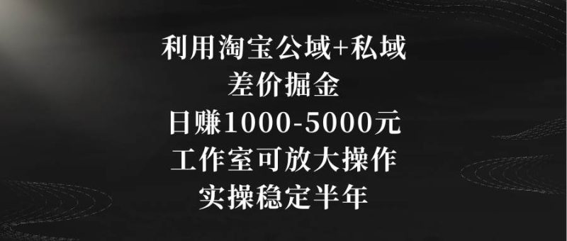 利用淘宝公域+私域差价掘金,日赚1000-5000元,工作室可放大操作,实操…-创途网