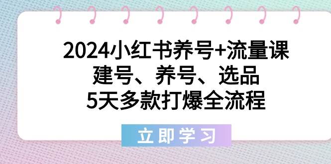 2024小红书养号+流量课：建号、养号、选品，5天多款打爆全流程-创途网
