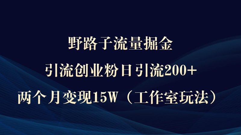 野路子流量掘金，引流创业粉日引流200+，两个月变现15W（工作室玩法））-创途网