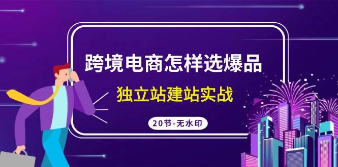 跨境电商怎样选爆品，独立站建站实战（20节高清无水印课）-创途网