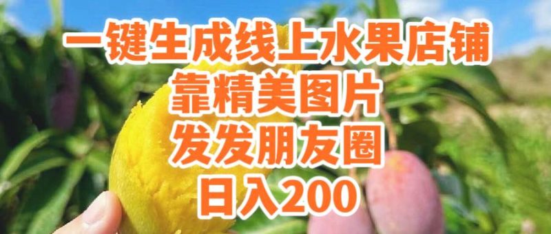 一键生成线上水果店，靠精美图片发发朋友圈，也能日入200-创途网