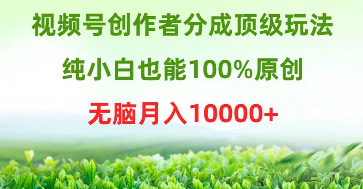 视频号创作者分成顶级玩法，纯小白也能100%原创，无脑月入10000+-创途网