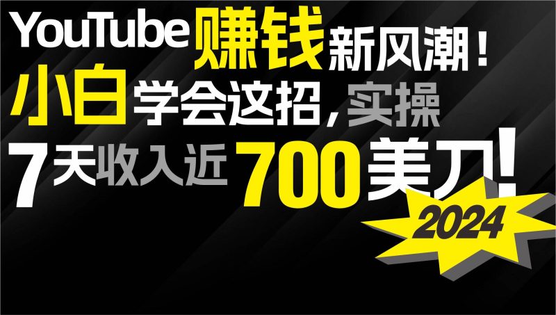 2024 YouTube赚钱新风潮！小白学会这招，7天收入近7百美金！-创途网