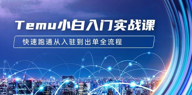 Temu小白入门实战课：跨境拼多多电商培训 快速跑通从入驻到出单全流程-12节-创途网