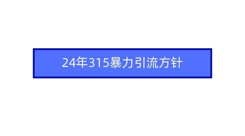 2024年315暴力引流方针-创途网
