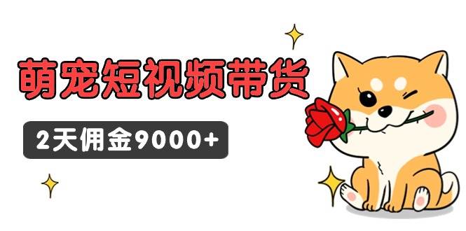 东哲日记·萌宠短视频带货，2天佣金9000+-创途网