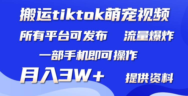 搬运Tiktok萌宠类视频，一部手机即可。所有短视频平台均可操作，月入3W+-创途网
