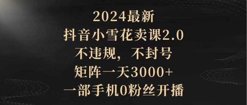 2024最新抖音小雪花卖课2.0 不违规 不封号 矩阵一天3000+一部手机0粉丝开播-创途网
