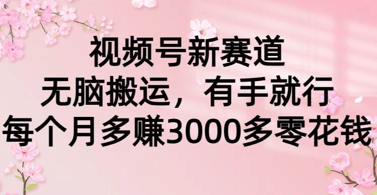 视频号新赛道，无脑搬运，有手就行，每个月多赚3000多零花钱-创途网