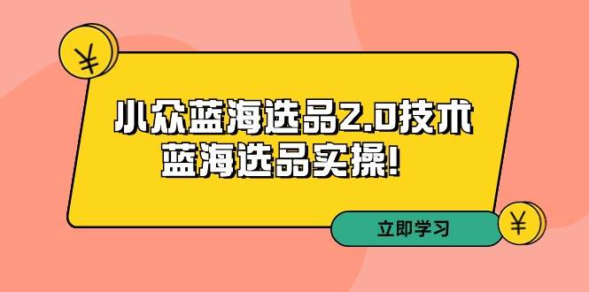 拼多多培训第33期：小众蓝海选品2.0技术-蓝海选品实操！-创途网