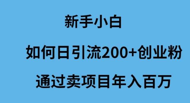 新手小白如何日引流200+创业粉通过卖项目年入百万-创途网