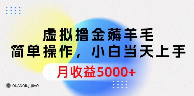 虚拟撸金薅羊毛，简单操作，小白当天上手，月收益5000+-创途网