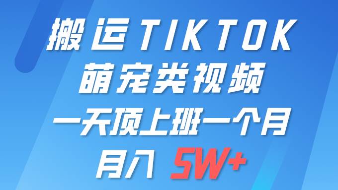 一键搬运TIKTOK萌宠类视频 一部手机即可操作 所有平台均可发布 轻松月入5W+-创途网