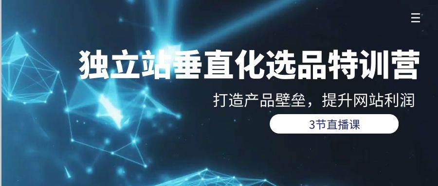 独立站-垂直化选品训练营，打造产品壁垒，提升网站利润（3节直播课）-创途网
