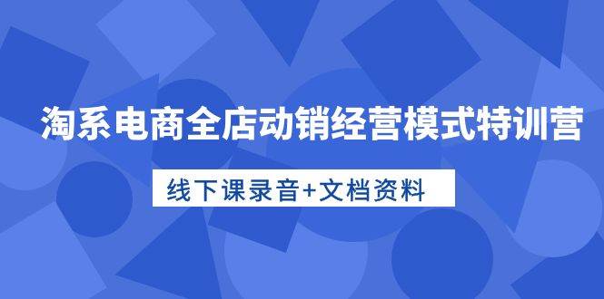 淘系电商全店动销经营模式特训营，线下课录音+文档资料-创途网