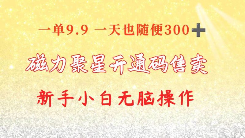 快手磁力聚星码信息差 售卖  一单卖9.9  一天也轻松300+ 新手小白无脑操作-创途网