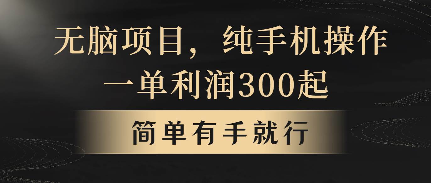 无脑项目，一单几百块，轻松月入5w+，看完就能直接操作-创途网
