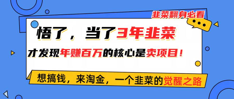 悟了，当了3年韭菜，才发现网赚圈年赚100万的核心是卖项目，含泪分享！-创途网