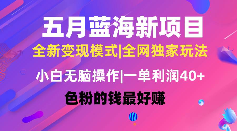 五月蓝海项目全新玩法，小白无脑操作，一天几分钟，矩阵操作，月入4万+-创途网