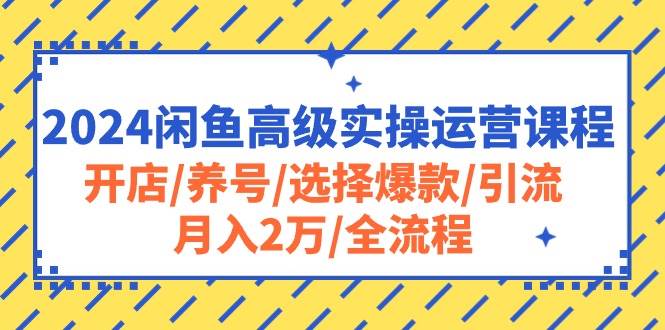 2024闲鱼高级实操运营课程：开店/养号/选择爆款/引流/月入2万/全流程-创途网