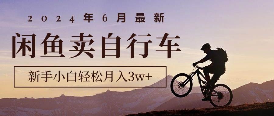 2024年6月最新闲鱼卖自行车，新手小白轻松月入3w+项目-创途网