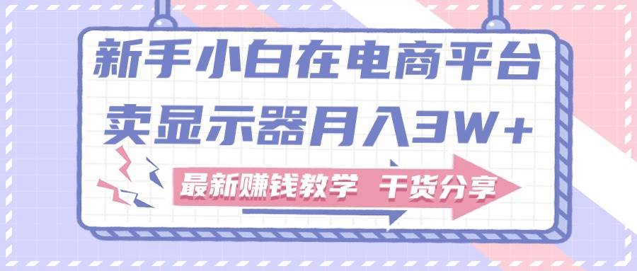 新手小白如何做到在电商平台卖显示器月入3W+，最新赚钱教学干货分享-创途网