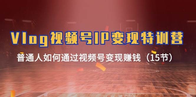 Vlog 视频号IP变现特训营，普通人如何通过视频号变现赚钱（15节）-创途网