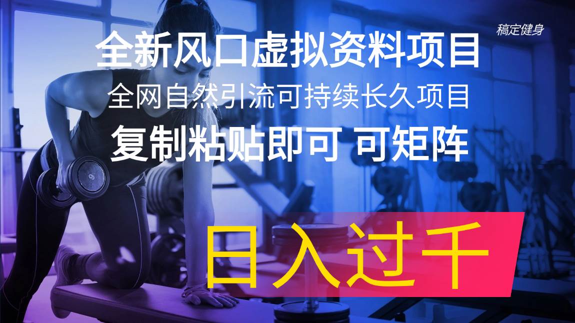全新风口虚拟资料项目 全网自然引流可持续长久项目 复制粘贴即可可矩阵…-创途网