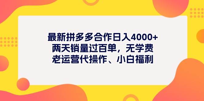 最新拼多多项目日入4000+两天销量过百单，无学费、老运营代操作、小白福利-创途网