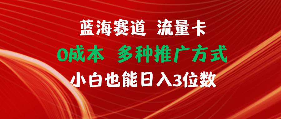 蓝海赛道 流量卡 0成本 小白也能日入三位数-创途网
