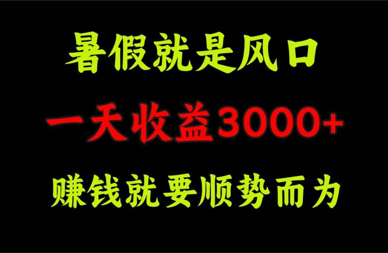 一天收益3000+ 赚钱就是顺势而为,暑假就是风口-创途网