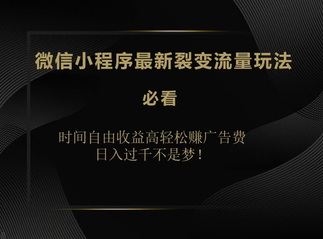 微信小程序最新裂变流量玩法，时间自由收益高轻松赚广告费，日入200-500+-创途网