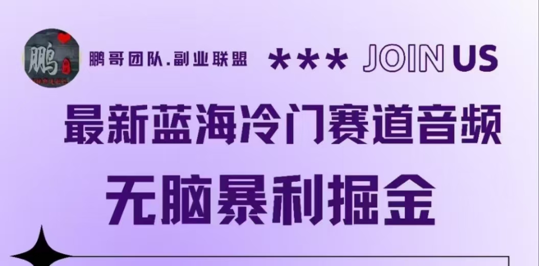 最新蓝海冷门赛道音频，无脑暴利掘金-创途网