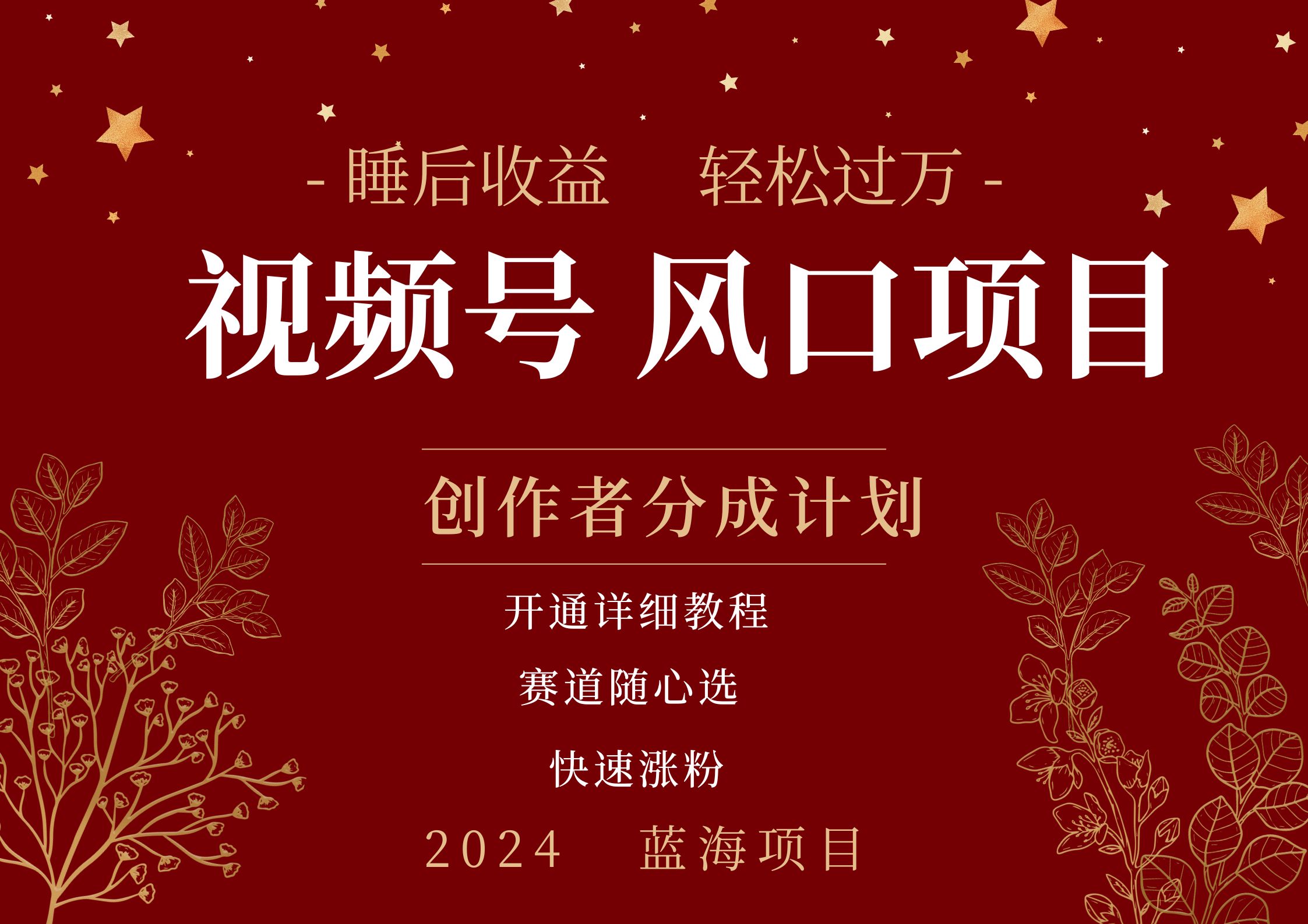 拥有睡眠收益的微信视频号大风口项目，轻松月入过万+，多赛道选择，可矩阵，玩法简单轻松上手-创途网