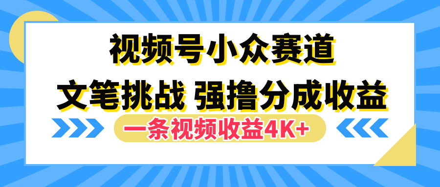 视频号小众赛道，文笔挑战，一条视频收益4K+-创途网