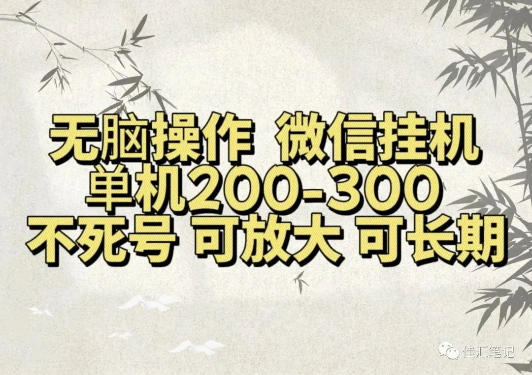 无脑操作微信视频号挂机单机200-300一天，不死号，可放大，工作室实测-创途网