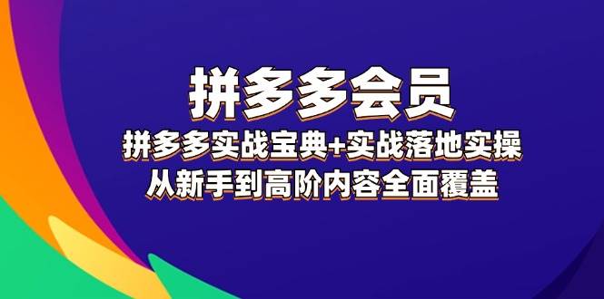 拼多多 会员，拼多多实战宝典+实战落地实操，从新手到高阶内容全面覆盖-创途网