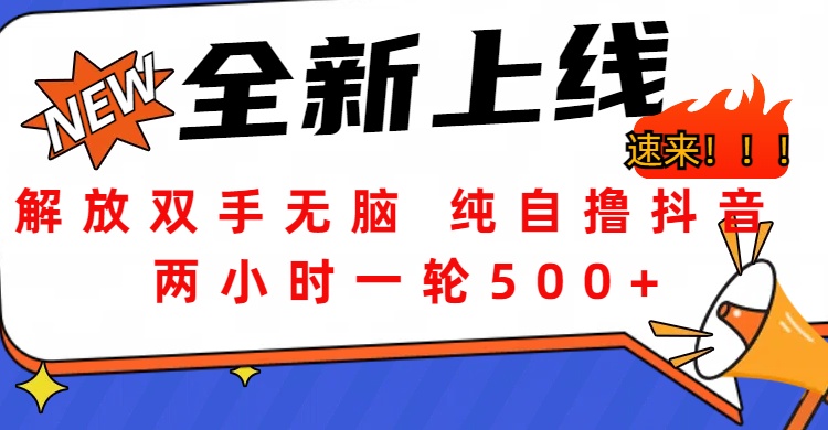 解放双手无脑 纯自撸抖音 两小时一轮500+-创途网