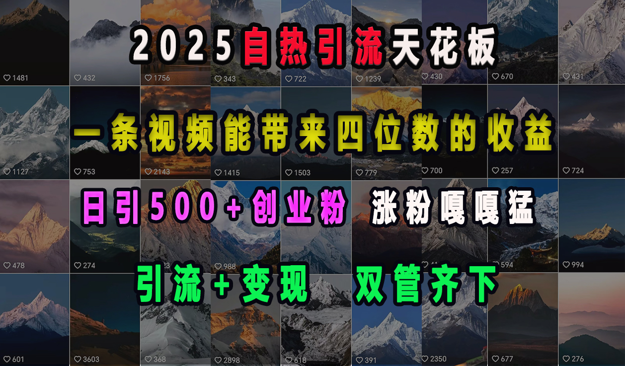 2025自热引流天花板，一条视频能带来四位数的收益，引流+变现双管齐下，日引500+创业粉，涨粉嘎嘎猛-创途网