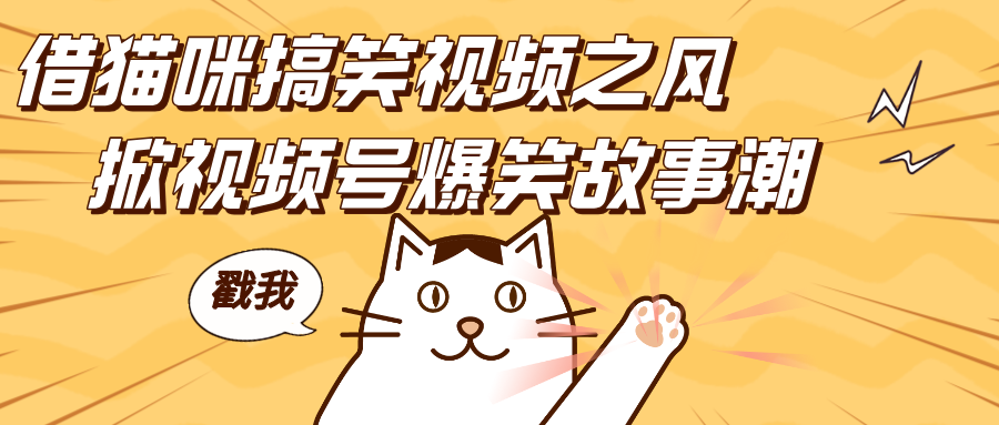 借猫咪搞笑视频之风，掀视频号爆笑故事潮，轻松日赚四位数，开启无门槛赚钱新体验！-创途网