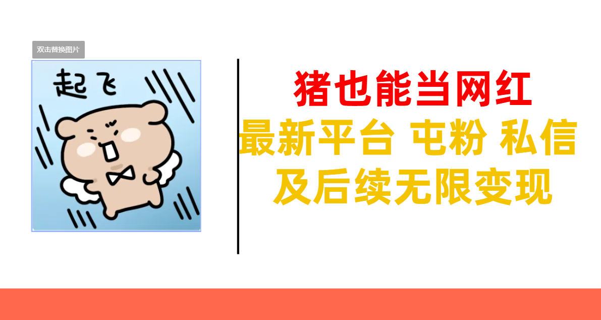 猪也能当网红-最新平台 屯粉 交流 私信 及后续无限变现-创途网