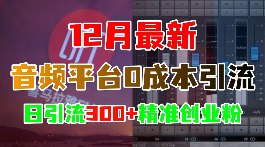 12月最新：音频平台0成本引流，日引300+精准创业粉-创途网
