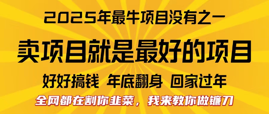 全网都在割你韭菜，我来教你做镰刀。卖项目就是最好的项目，2025年最牛互联网项目-创途网