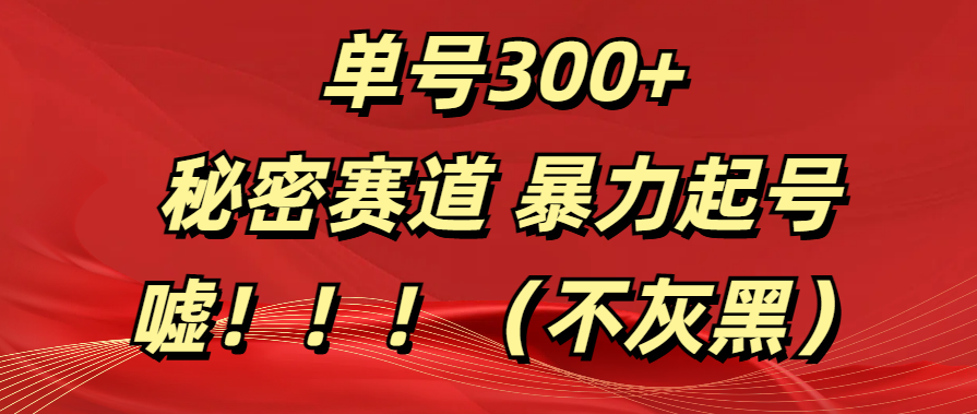 单号300+  秘密赛道 暴力起号  （不灰黑）-创途网