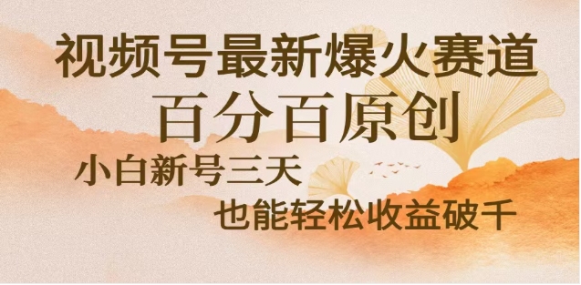 视频号独家玩法，老年养生赛道，无脑搬运爆款视频，日入2000+-创途网