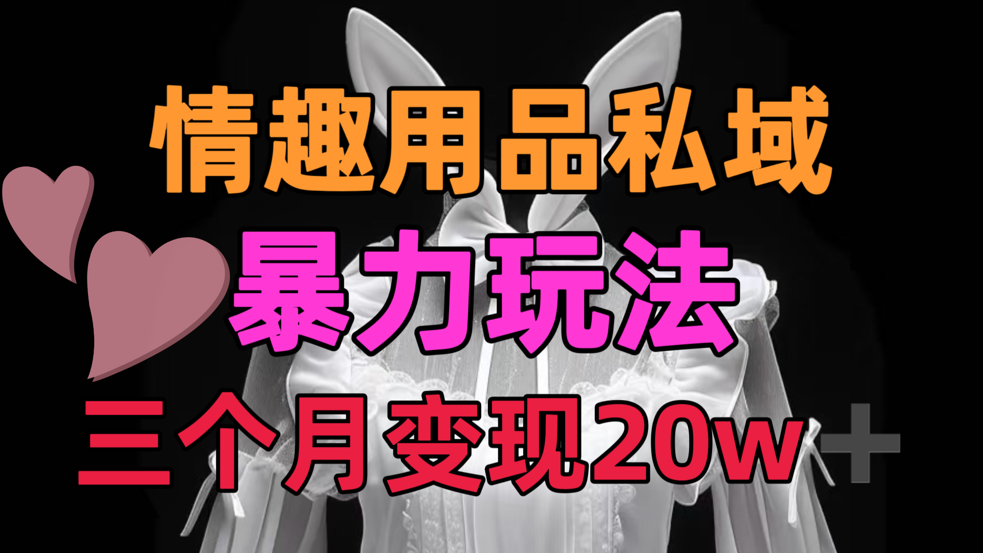 情趣用品私域，25年最新暴力玩法，三个月变现20w➕-创途网