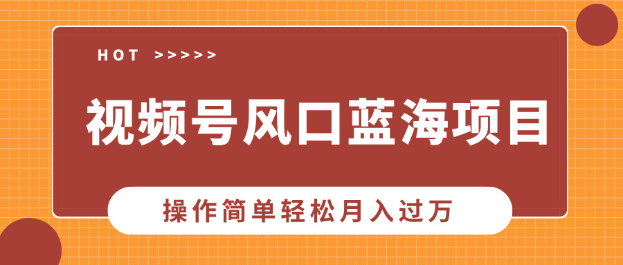 视频号风口蓝海项目，中老年人的流量密码，操作简单轻松月入过万-创途网